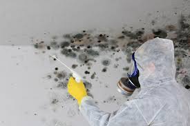 Best Mold Removal for HVAC Installations  in Warrensville Heights, OH